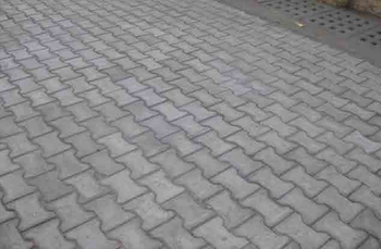 chennai swimming pool designers, garden maintenance in chennai,chennai landscape designers, chennai swimming pool designers,landscape in chennai,swimming pool maintenance in chennai,chennai garden maintenance,chennai landscape architects,